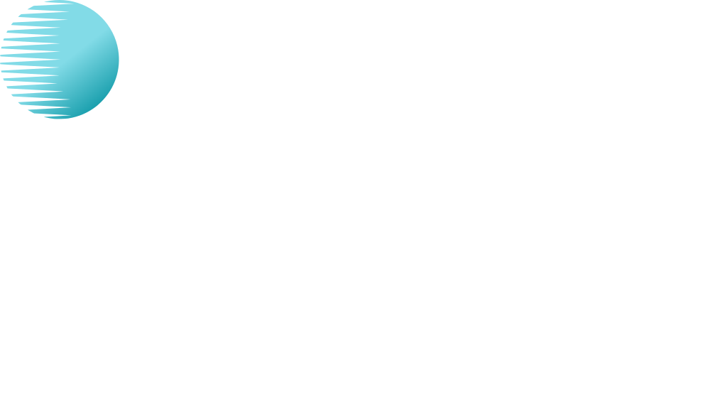 Non Volatile Networks